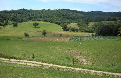 Borut Haus | Agroturism Stara Štala