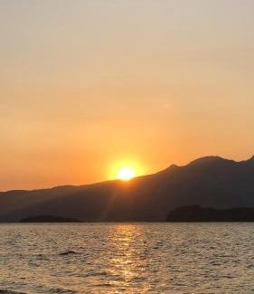 Morong Wohnung | AGTA Nest Loft in Subic Bay with Self-Serve Breakfast - WiFi, Monkeys, Pet Friendly with a Fee