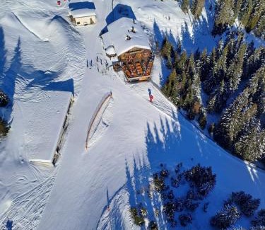 Bad Gastein Wohnung | Ahornhütte Gastein