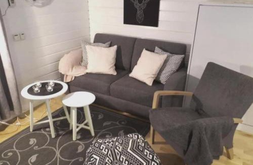 Yllasjarvi Wohnung | Aikku cabin in the heart of Lapland, free Lapin Kota, Budget week