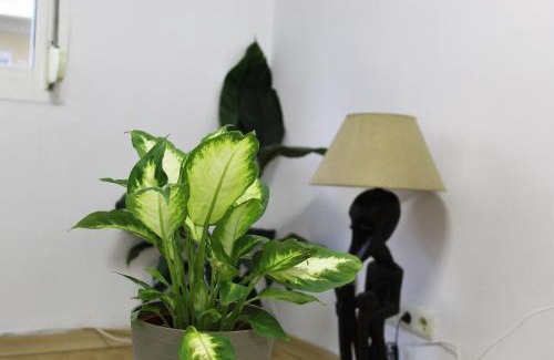 Jaen Wohnung | Al pie del Camarín con parking gratis