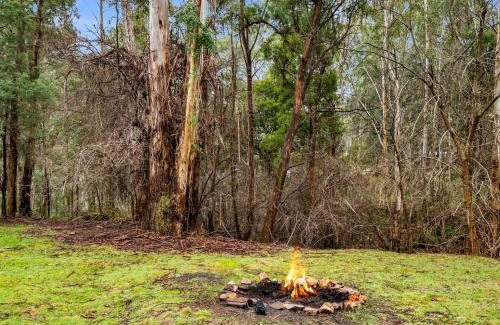 Sawmill Settlement Haus | Albaski Lodge