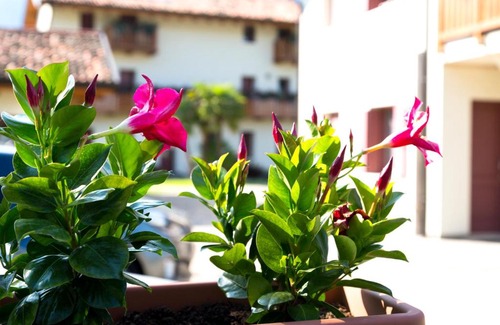 Polcenigo Wohnung | Albergo Diffuso Polcenigo B.Vittorio
