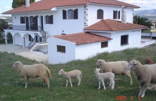 Alcobaca Haus | Casa San Bernardo -2Pisos7Quartos 2/16 PAX- neben dem Kloster und in der Nähe von den Stränden