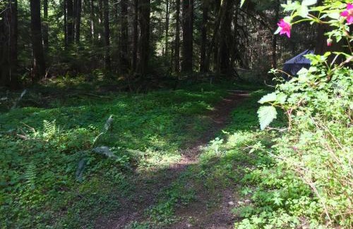 Ashford Hotel | Alexander's Lodge