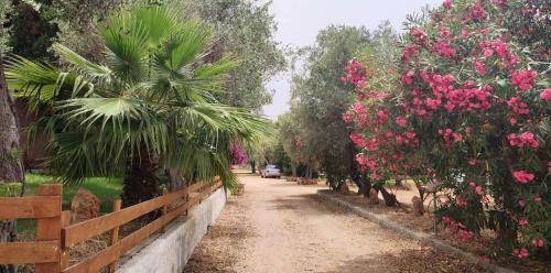Alghero Wohnung | Alghero Guest House - Appartamenti in Seminterrato in Villetta di Campagna, Piscina fuori terra a 4 minuti di auto dalla città