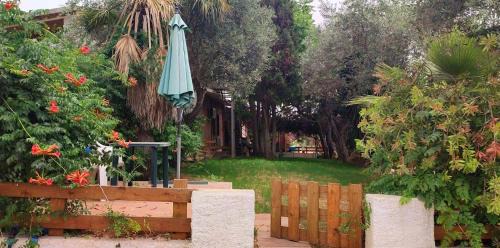 Alghero Wohnung | Alghero Guest House - Appartamenti in Seminterrato in Villetta di Campagna, Piscina fuori terra a 4 minuti di auto dalla città