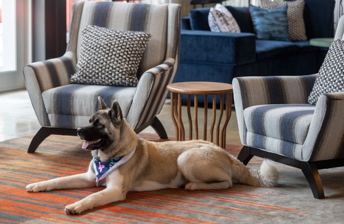 Beachwood Hotel | Aloft Beachwood