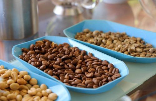 Buenavista Haus | Alojamiento con Historia - Finca el balcon