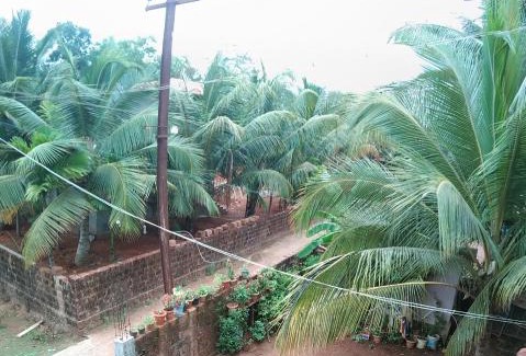 Honavar Haus | Alpha Homestay