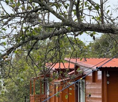 Kodaikanal Haus | Alphines View Wooden Cottages