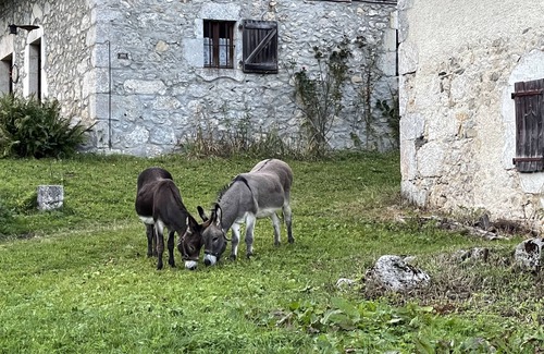 Megevette Skihütte | Alpine chalet in the heart of nature near Geneva