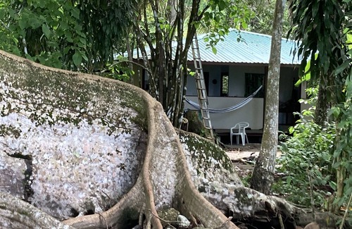 Puerto Jimenez Haus | NEUES ZUHAUSE AM STRAND IM Dschungel. Surf, Wasserfall, Yoga, Restaurants in der Nähe.
