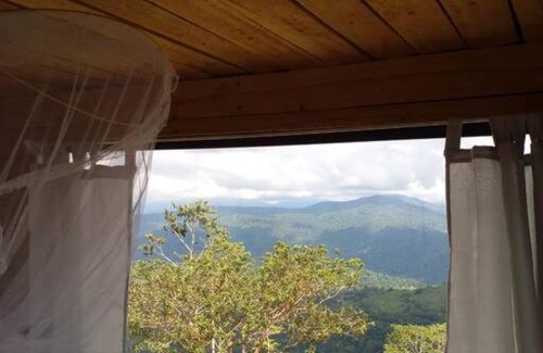 Pacuare Reserve Wohnung | Alto Luciérnaga