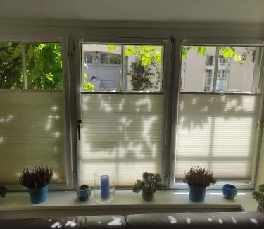 Altstadt Wohnung | Altstadtnest