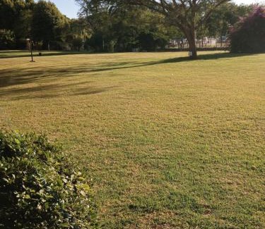 Tigre Wohnung | Amanecer