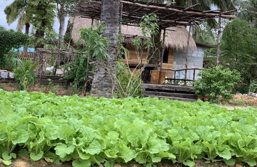 Huai Nam Khao Haus | Amarit Onsen Homestay