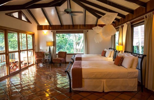 Punta Gorda Resort | Amazing Floor-to-Ceiling Jungle Views Suite w/ WiFi & Air Conditioning