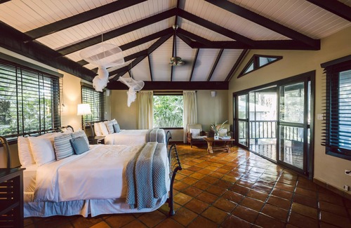 Punta Gorda Resort | Amazing Floor-to-Ceiling Jungle Views Suite w/ WiFi & Air Conditioning