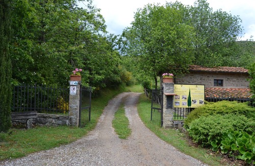 Castelfranco di Sopra Wohnung | Erstaunlicher Aufenthalt im rustikalen Stil der Toskana