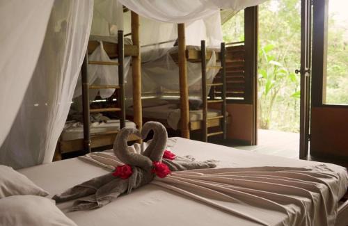 Dos Brazos Kabine | Amazonita Ecolodge
