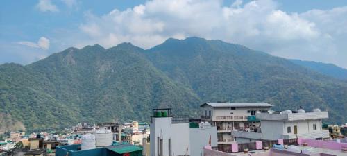 Tapovan Haus | Amigos homestay 5