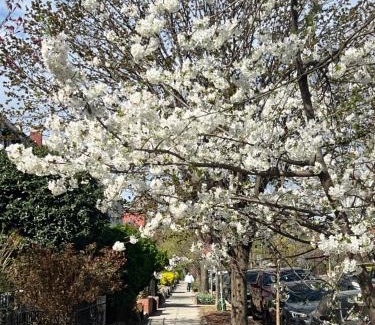 Bloomingdale Wohnung | Amma's Place