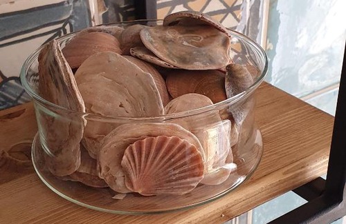 Zelenogradsk Wohnung | Amore&МОRЕ