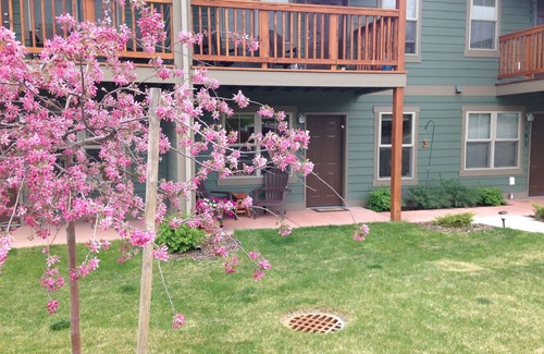 Franklin to the Fort Wohnung | Ein Apartment Juwel im Herzen von Missoula