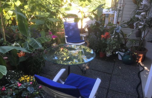 Cowichan Bay Haus | An Oasis By The Bay in Cowichan Bay