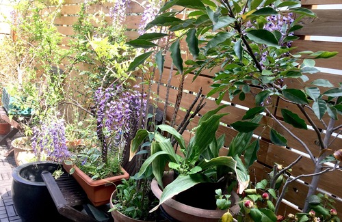 Ota Haus | Eine Oase in der Stadt!Kunst altes Haus!Bis zu 20 Personen in der Nähe der Flughäfen Haneda, Tokio und Shinagawa!Ideal für Familien und Freunde!WIFI abgeschlossen!