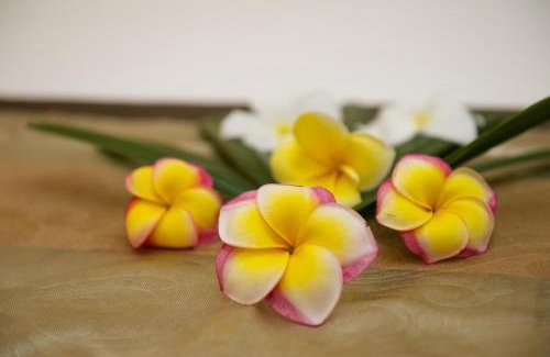 Legian Wohnung | Anantara Vacation Club Legian