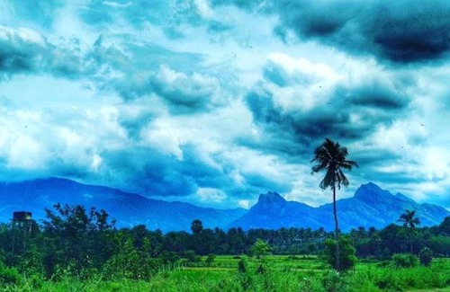 Palakkad Haus | Aneys River view Home stay & resort