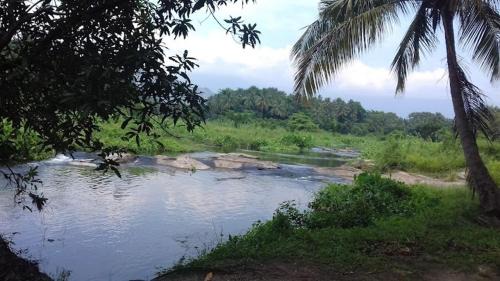 Palakkad Wohnung | Aneys River View Home stay & Resort