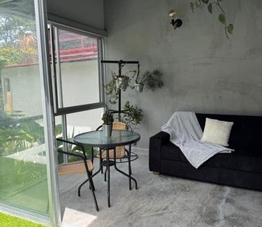 Ibague Sonstige | Animadbali