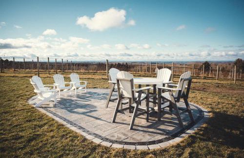 Williamsburg Haus | Ann Riley Farmhouse 6BDR on Yuba Vineyards - 8062