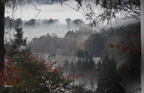 Waipawa Haus | Jubiläums-Cottage, die perfekte Flucht ins Land