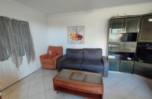Golfe Juan Wohnung | Antibes T2 Vue mer 48m2 Terrasse Parking Piscine Plage