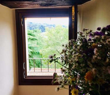 Loiano Wohnung | Antico Borgo dell'Anconella - grande appartamento rustico