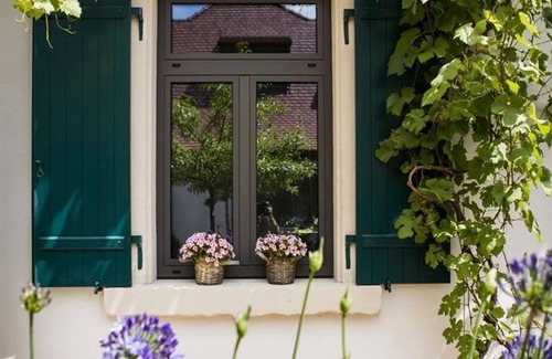 Gimmeldingen Wohnung | Fewo 2 - Appartement - Loblocher Hof