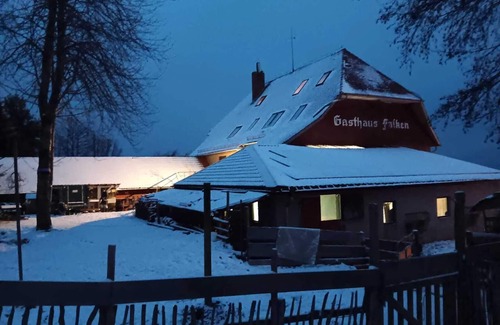 Eisenbach Wohnung | Ferienwohnung 'Froschkönig' mit Gemeinschaftsgarten und WLAN