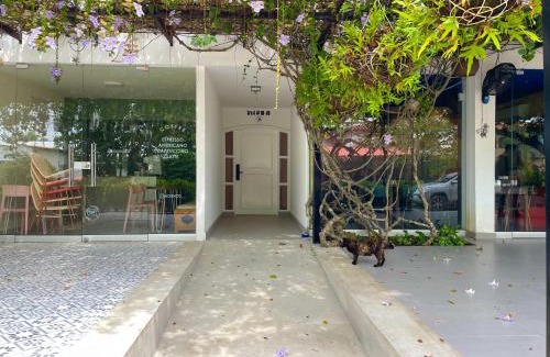 Monteria Wohnung | Apartaestudio Brumilo 3