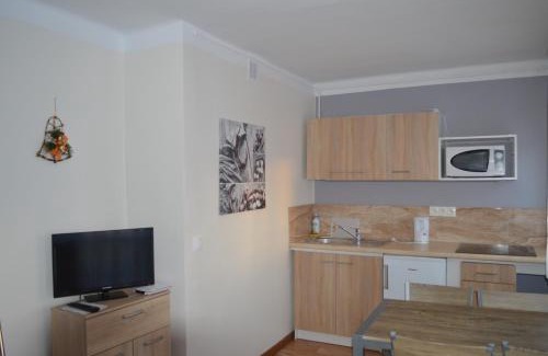 Ustrzyki Dolne Wohnung | Apartament Ustrzyki