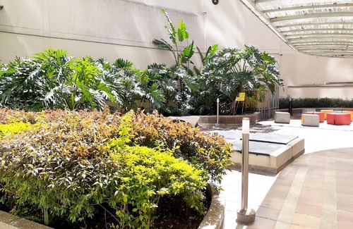 Villa Nueva Wohnung | Apartamento centro MDE