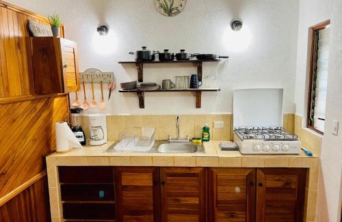 Tamarindo Wohnung | Apartamentos El Labrador