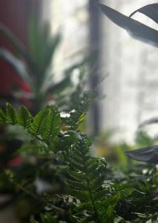 Ronda Wohnung | Apartamentos Los Descalzos Ángel With Private Terrace Free Parking