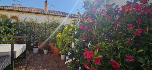 Ronda Wohnung | Apartamentos Los Descalzos Ángel With Private Terrace Free Parking