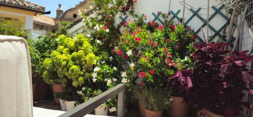 Ronda Wohnung | Apartamentos Los Descalzos Ángel With Private Terrace Free Parking