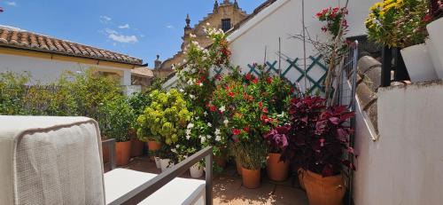 Ronda Wohnung | Apartamentos Los Descalzos Ángel With Private Terrace Free Parking