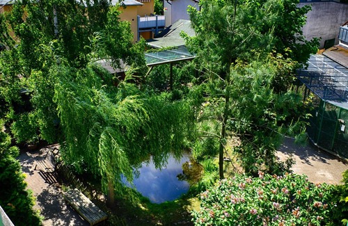 Seebad Bansin Wohnung | Aparthotel Tropenhaus Bansin